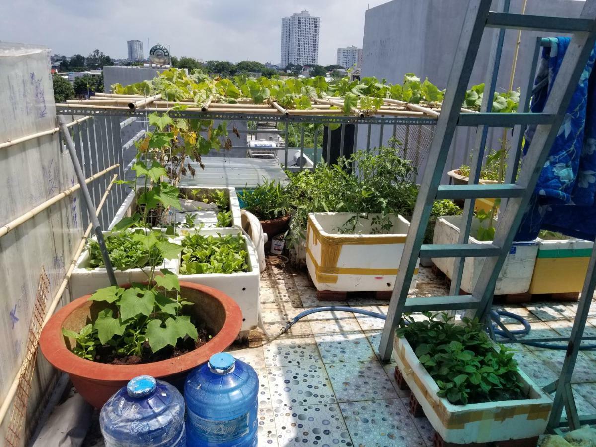 Ngoc Lan Homestay Vũng Tàu Ngoại thất bức ảnh